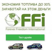 Бизнес в компании FFI Борисов